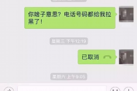 讨债儿女的公案:法律与情感的纠葛 讨债儿女的公案:法律与情感的纠葛