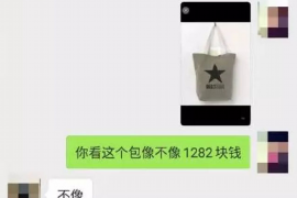 永登催收公司联系方式:解决债务难题的专业通道 永登催收公司联系方式:解决债务难题的专业通道