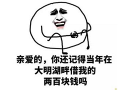 辽阳专业催收平台:高效解决债务难题的利器 辽阳专业催收平台:高效解决债务难题的利器