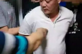 怎么立即停止催收电话? 怎么立即停止催收电话?