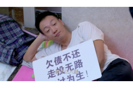 陈巴尔虎旗追债公司哪家好？揭秘优质追债公司选择指南