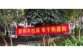 催收公司工作小结